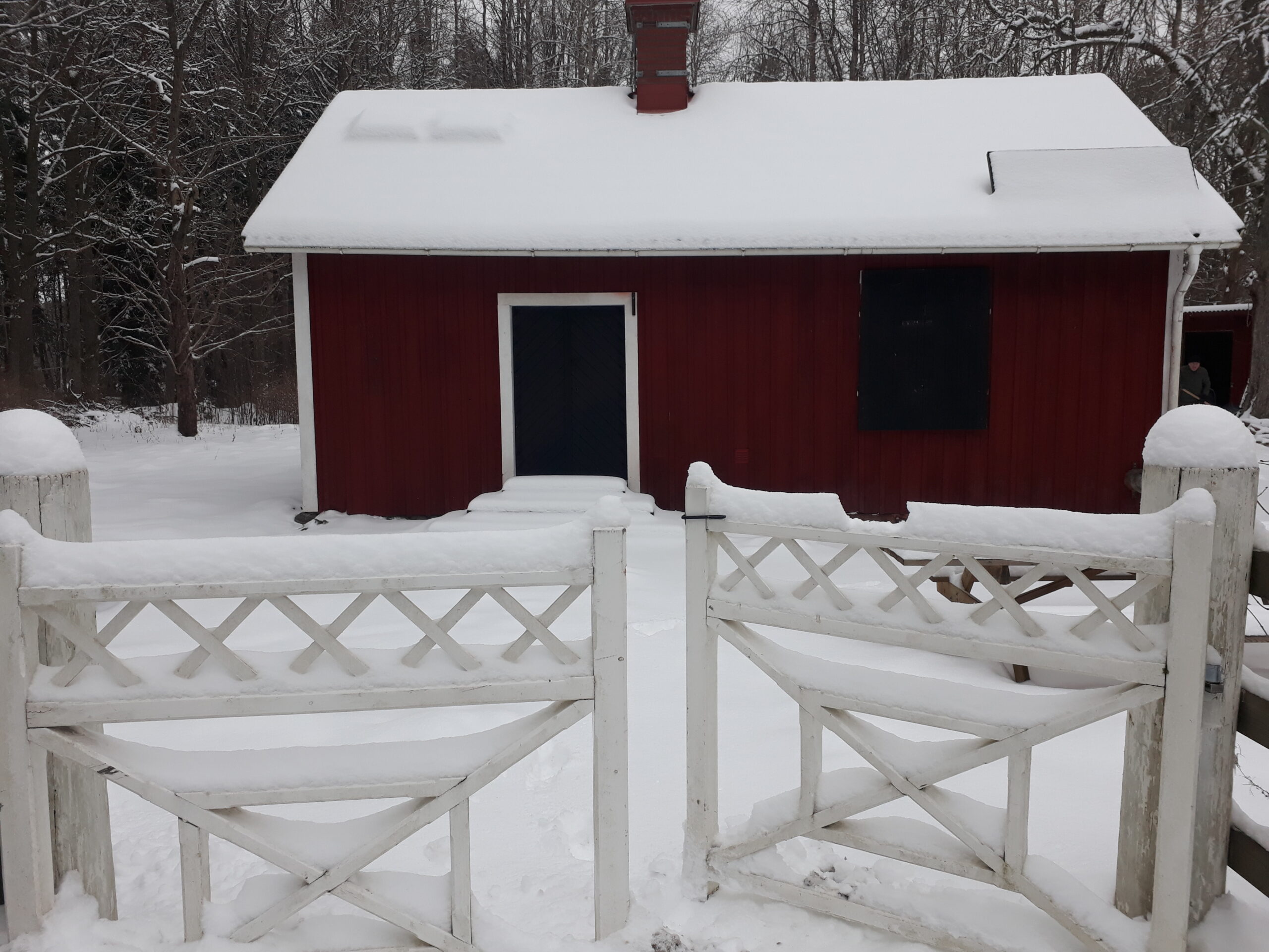 Vinterbild av Lillåstugan med snö på taket och den snöklädda grinden i förgrunden.