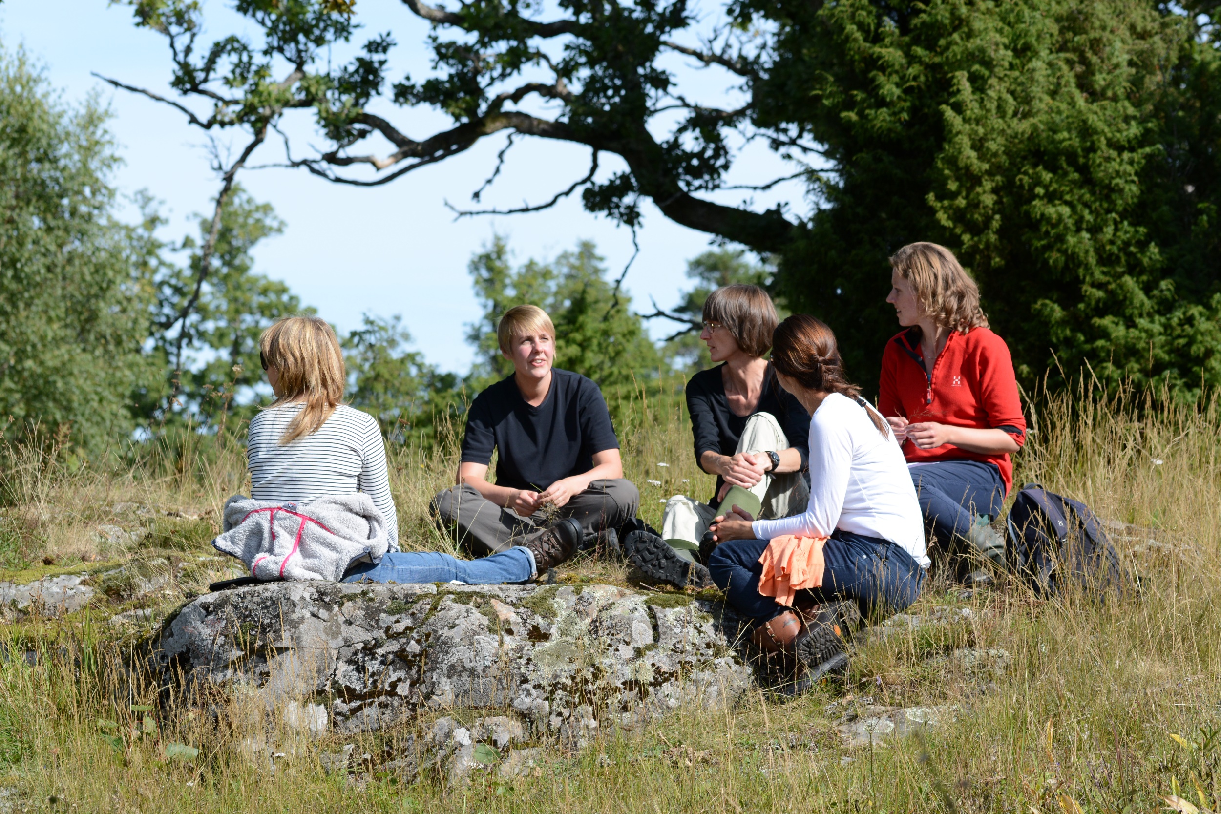 Några personer sitter i en grupp ute bland stenar och gräs i naturen