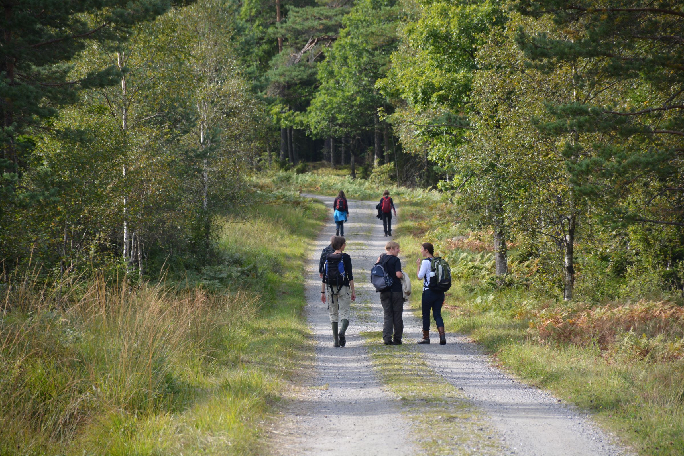 En grupp människor vandrar på en grusväg.